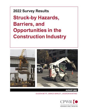 Cover of Struck-by Survey