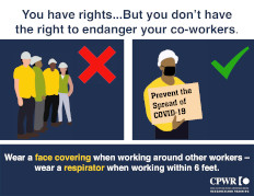 COVID-19 Infographic -- Right to Safety