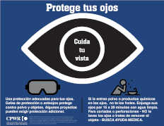 Eye Protection Infographic - Spanish