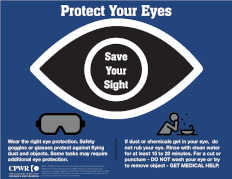 Eye Protection Infographic -- English
